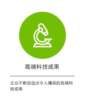 剎車(chē)片二