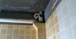 樓上廁所的排水管道和衛生間漏水,應該誰負責?應該怎么處理?